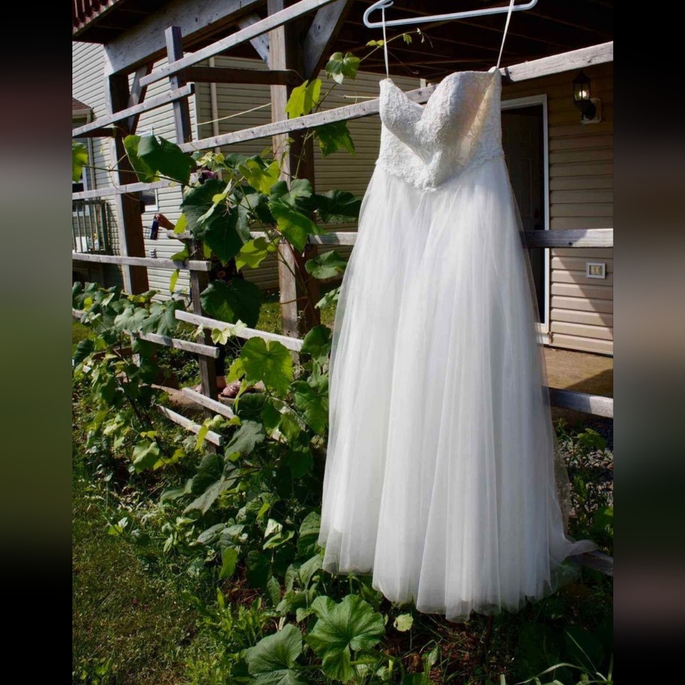 Wedding Gown - Picture 1 of 4
